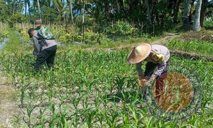 Polres Lumajang Terjunkan Personel Penggerak Ketahanan Pangan Dampingi Warga Tani