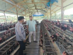 Bhabinkamtibmas Polsek Rembang Laksanakan Pemantauan Peternakan Ayam Petelur Dukung Ketahanan Pangan Nasional