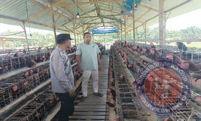Bhabinkamtibmas Polsek Rembang Laksanakan Pemantauan Peternakan Ayam Petelur Dukung Ketahanan Pangan Nasional