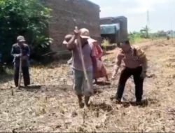 Polsek Tosari Pantau Lahan Kentang di Ngadiwono, Dukung Asta Cita Ketahanan Pangan