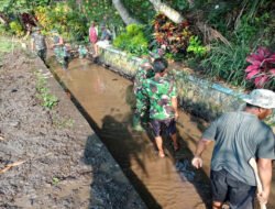 Babinsa Koramil 10/Sambi Bersama Warga Bersihkan Irigasi, Dukung Ketahanan Pangan di Desa Catur