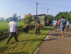 Semangat Gotong Royong Tak Pernah Padam, Babinsa dan Warga Plumpung Kidul Bersihkan Jalan Desa