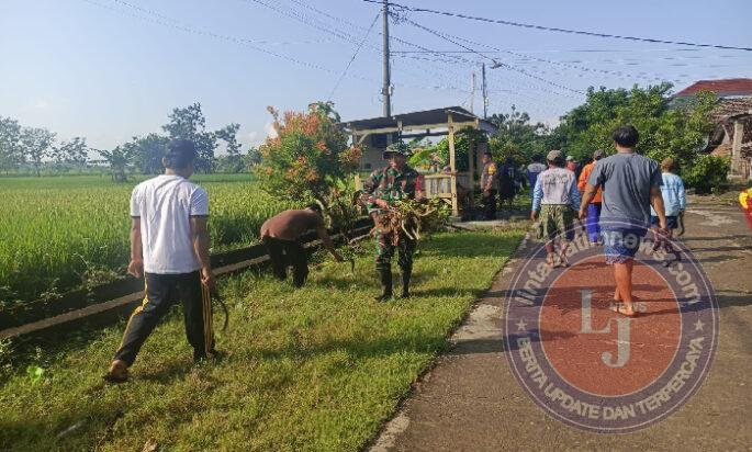 Semangat Gotong Royong Tak Pernah Padam, Babinsa dan Warga Plumpung Kidul Bersihkan Jalan Desa