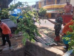 Babinsa Setabelan Turun Tangan, Pangkas Pohon di Jl. Lumban Tobing Demi Lingkungan Sehat