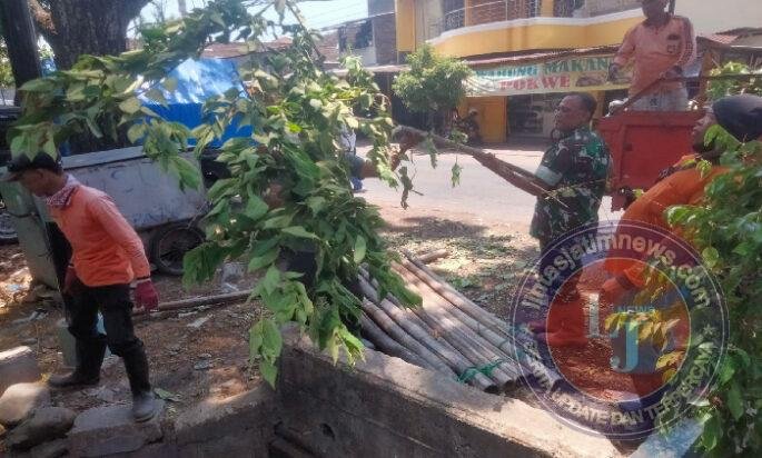 Babinsa Setabelan Turun Tangan, Pangkas Pohon di Jl. Lumban Tobing Demi Lingkungan Sehat