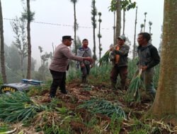 Bhabinkamtibmas Polsek Tosari Pantau Lahan Bawang Prei, Dukung Program Ketahanan Pangan Nasional