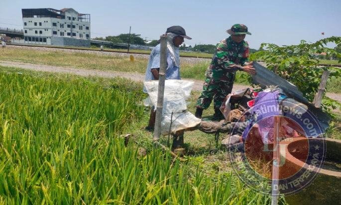 Air Terjaga, Panen Terjanjikan: Babinsa Dampingi Petani Rawat Mesin Pengairan Sawah