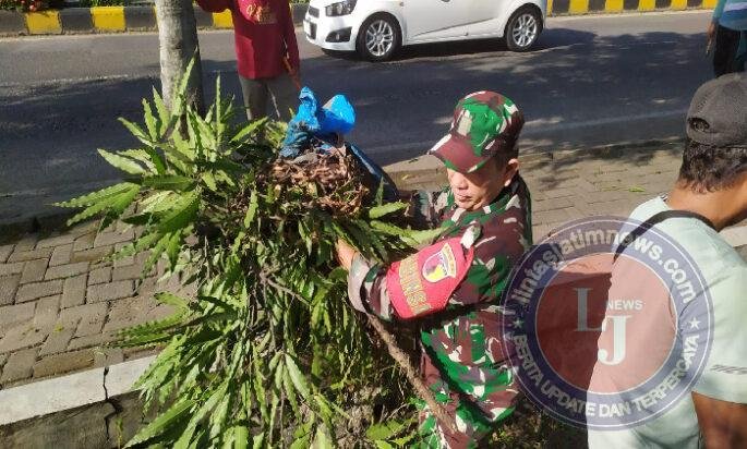 Saat Babinsa dan Warga Bergerak Bersama, Jalur Madiun–Surabaya Kembali Bersih dan Asri