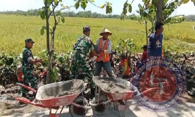 Salut! Babinsa Guworejo Ikut Angkat Batu Demi Talud Irigasi Warga Desa Puro