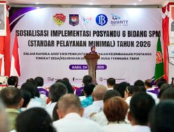 Ketum TP Posyandu: Posyandu Kini Jadi Pusat Pelayanan 6 Bidang SPM di Desa