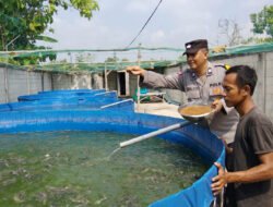 Bhabinkamtibmas Polsek Rembang Pantau Budidaya Lele, Dukung Ketahanan Pangan Nasional