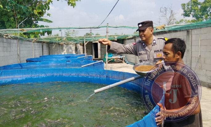 Bhabinkamtibmas Polsek Rembang Pantau Budidaya Lele, Dukung Ketahanan Pangan Nasional