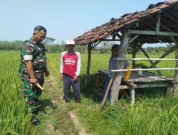 Demi Sawah Tetap Subur, Babinsa dan Warga Desa Bader Bergotong Royong Bersihkan Saluran Irigasi
