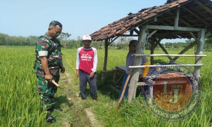 Demi Sawah Tetap Subur, Babinsa dan Warga Desa Bader Bergotong Royong Bersihkan Saluran Irigasi