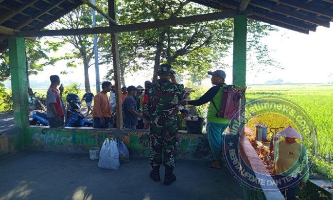 Lawan Hama Tikus, Babinsa Bersama Petani Kompak Gelar Gerdal Serentak