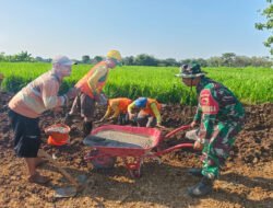 Babinsa Koramil 08/Jogorogo Dampingi Pembuatan Irigasi Pertanian