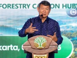 Utusan Khusus Presiden Hashim : Perdagangan Karbon Kehutanan Program Pemerintah Paling Cepat Direalisasikan