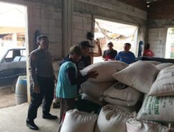 Jagung Petani Sukorejo Tembus Bulog, Polisi Kawal Pengiriman Hasil Panen