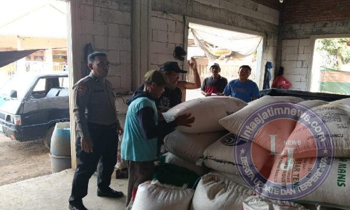 Jagung Petani Sukorejo Tembus Bulog, Polisi Kawal Pengiriman Hasil Panen
