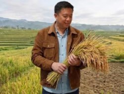 Peran Strategis Padigital Dalam Ketahan Moneter Indonesia