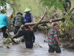 Demi Kelancaran Aliran Sungai, TNI dan Warga Pilangbango Bersatu Singkirkan Pohon Roboh