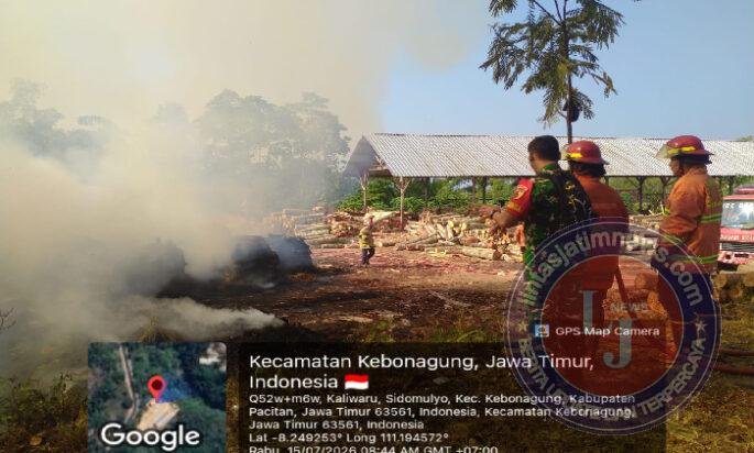 Si Jago Merah Melalap Limbah Sengon, Babinsa Koramil 0801/02 Kebonagung Dengan Sigap Atasi Bencana