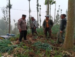 Polsek Tosari Dampingi Petani Bawang, Wujudkan Ketahanan Pangan di Lereng Bromo