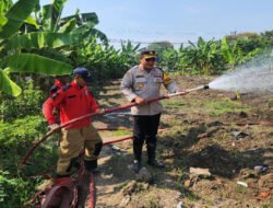 Hadapi Kemarau, Polres Pelabuhan Tanjungperak Siram Lahan Jagung Ketahanan Pangan