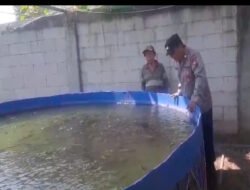 Tak Hanya Jaga Kamtibmas, Polisi di Rembang Dampingi Budidaya Lele