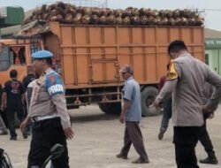 Diduga Lintangkan Truk di Jalur Antrean Buah Sawit, MS Picu Keributan di PMKS PT HSJ