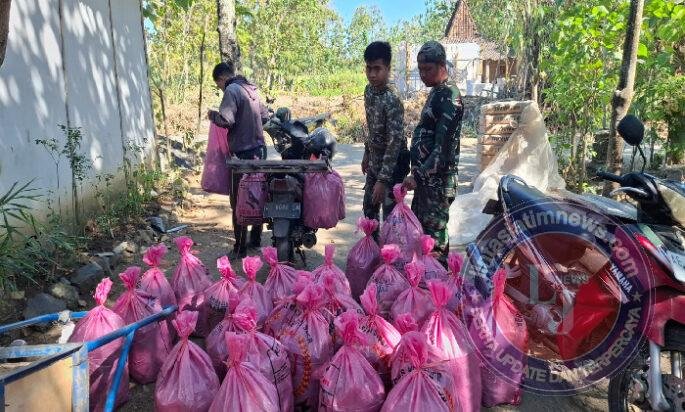 Tak Canggung, Anggota Satgas TMMD ke 129 Kodim 0802/Ponorogo Bantu Panen Jangkrik