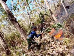 TNI-Polri dan BPBD Trenggalek Berhasil Padamkan Kebakaran Hutan Jati di Gandusari
