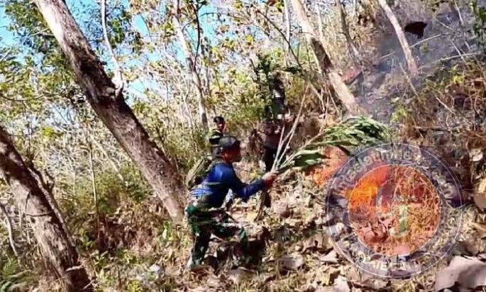 TNI-Polri dan BPBD Trenggalek Berhasil Padamkan Kebakaran Hutan Jati di Gandusari