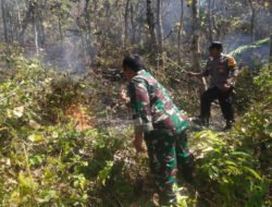 Gercep, Anggota Babibsa Koramil Sine Bantu Padamkan Kebakaran Lahan Jati Milik Warga