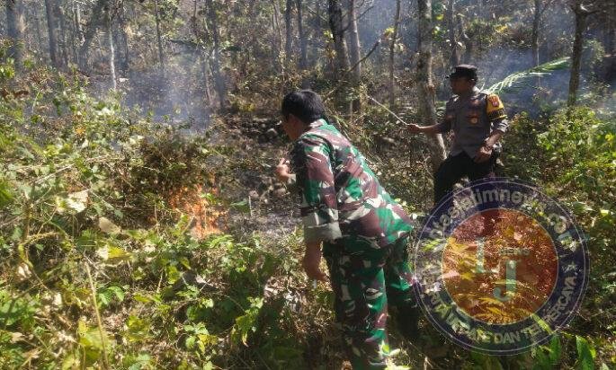 Gercep, Anggota Babibsa Koramil Sine Bantu Padamkan Kebakaran Lahan Jati Milik Warga