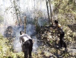 Respon Cepat Call Center 110 Polres Ngawi, Kebakaran Lahan di Bukit Gogor Sine Berhasil Dipadamkan