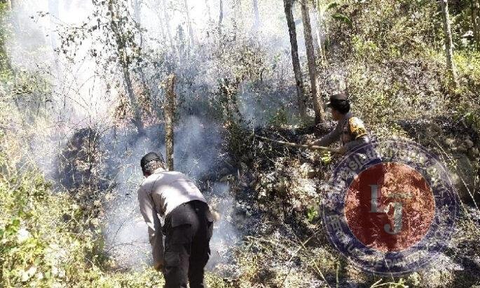 Respon Cepat Call Center 110 Polres Ngawi, Kebakaran Lahan di Bukit Gogor Sine Berhasil Dipadamkan