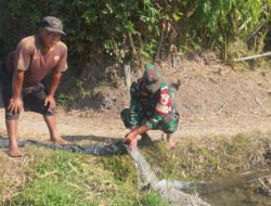 Mengalirkan Harapan di Tengah Musim Tanam, Babinsa Sebayi Bantu Petani Airi Sawah