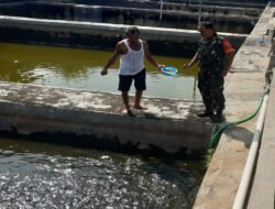 Babinsa Dampingi Budidaya Lele Milik Warga, Dukung Ketahanan Pangan di Wilayah Binaan