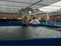 Budidaya Lele Warga Tambakan Berkembang Baik, Bhabinkamtibmas Dukung Program Pekarangan Bergizi