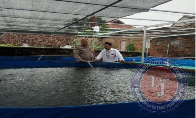 Budidaya Lele Warga Tambakan Berkembang Baik, Bhabinkamtibmas Dukung Program Pekarangan Bergizi