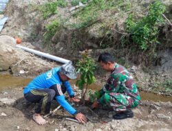 Hijaukan Lereng Sungai, Babinsa Mliwis Bersama Warga Tanam Pohon Demi Cegah Banjir dan Longsor