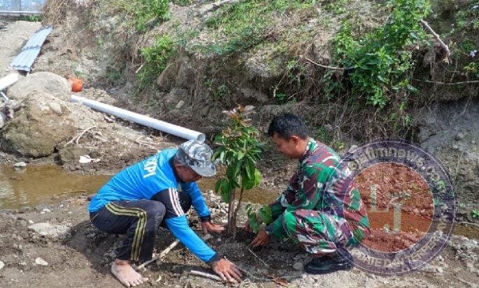 Hijaukan Lereng Sungai, Babinsa Mliwis Bersama Warga Tanam Pohon Demi Cegah Banjir dan Longsor