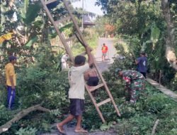 Demi Keselamatan Bersama, Babinsa dan Warga Bulu Bergotong Royong Pangkas Dahan Pohon di Sepanjang Jalan