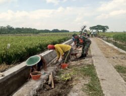 Drainase Dibangun, Harapan Petani Kenongorejo Mengalir Bersama Semangat Gotong Royong