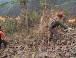 Tim Gabungan Padamkan Kebakaran Hutan di Trenggalek