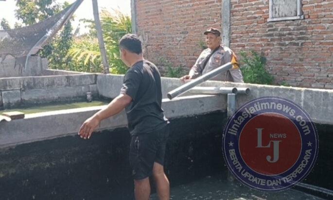 Pantau Budidaya Lele di Genengwaru, Bhabinkamtibmas Pastikan Pertumbuhan Ikan Berjalan Baik