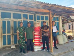 Pupuk Tiba, Harapan Petani Terjaga: Babinsa Dampingi Penyaluran Pupuk Nonsubsidi di Taman