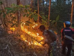 TNI-Polri-BPBD Padamkan Kebakaran Hutan 3,5 Hektare di Panggul