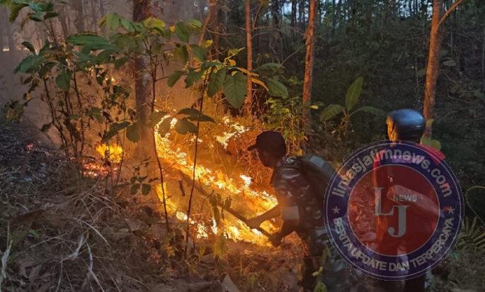 TNI-Polri-BPBD Padamkan Kebakaran Hutan 3,5 Hektare di Panggul